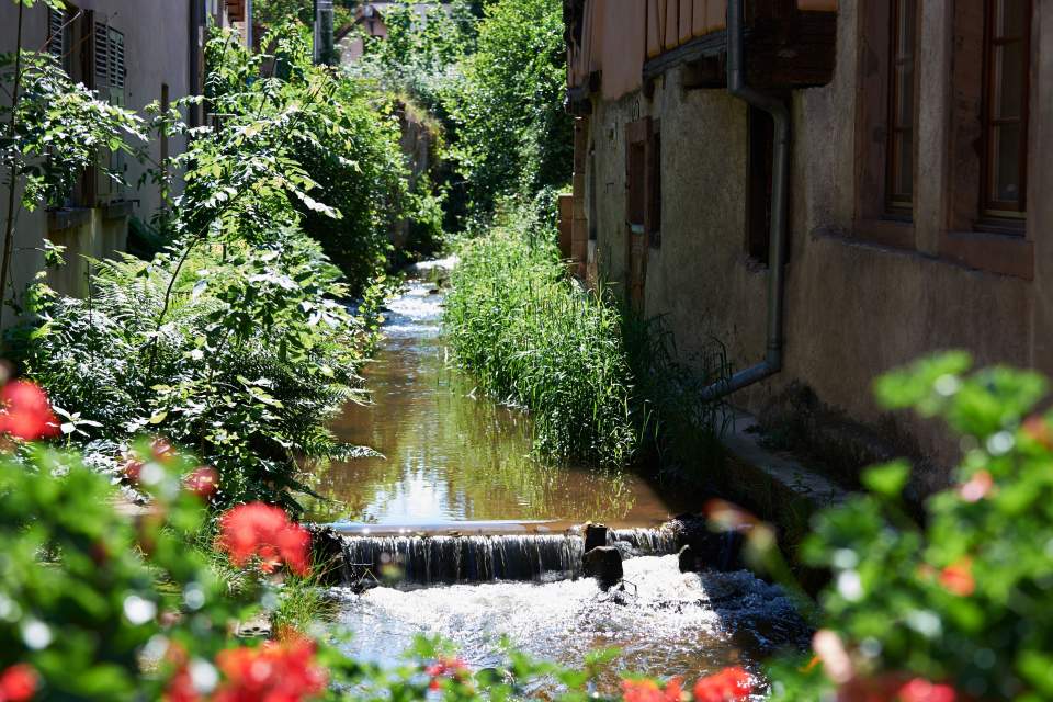 barr-alsace